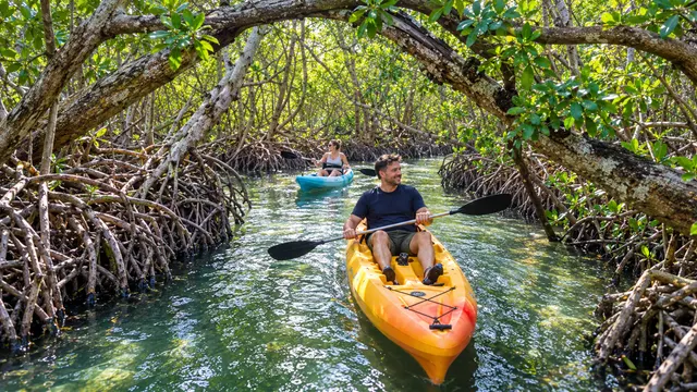 Kayaker paddling a yellow kayak through a shaded mangrove tunnel in Cocoa Beach, Florida